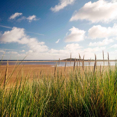 Grass, Sky, Natural environment, Cloud, Natural landscape, Grassland, Plain, Horizon, Land lot, Ecoregion, 