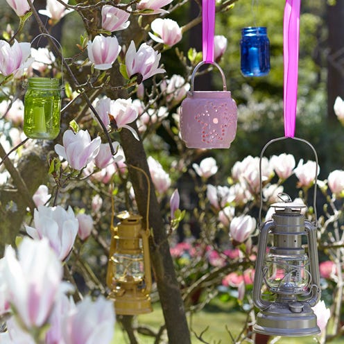 Petal, Flower, Purple, Pink, Magenta, Lavender, Insect, Violet, Spring, Pollinator, 