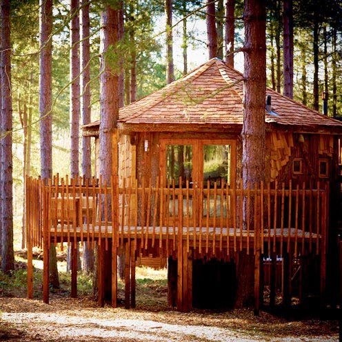 Wood, Hardwood, Biome, Roof, Gazebo, Forest, Shade, Lumber, Trunk, Pavilion, 