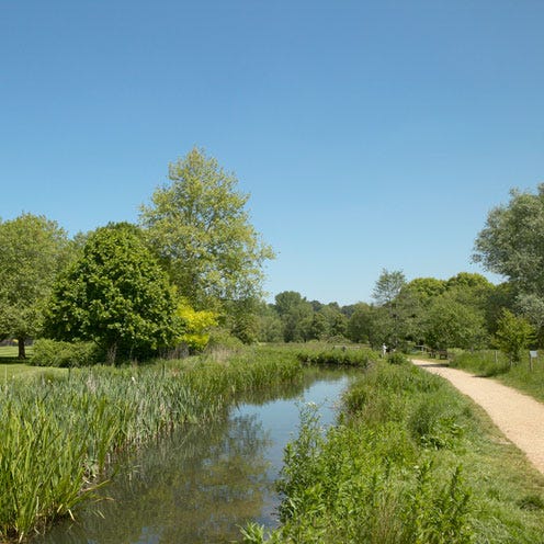 Vegetation, Nature, Natural landscape, Natural environment, Plant community, Waterway, Tree, Wetland, Channel, Nature reserve, 