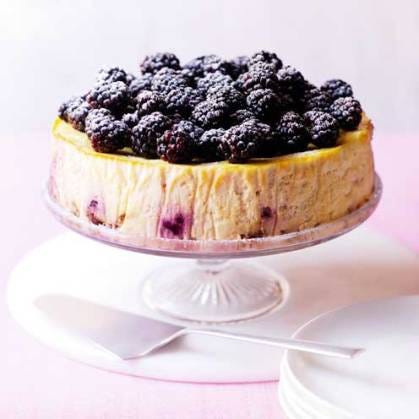 best cheesecake recipes coconut and blackberry cheesecake