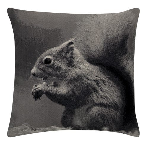 Squirrel, Rodent, Terrestrial animal, Linens, Snout, Art, Grey, Home accessories, Cushion, Pillow, 