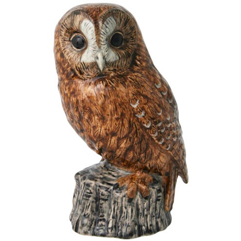 Brown, Owl, Bird, Iris, Neck, Beak, Khaki, Grey, Liver, Beige, 