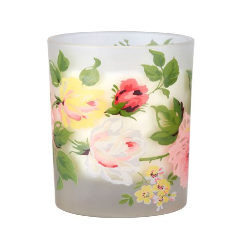 Peach, Flower, Pink, Petal, Flowering plant, Serveware, Floral design, Dishware, Rose family, Coquelicot, 