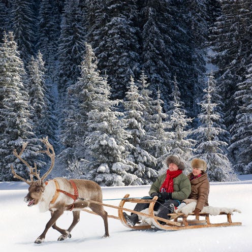Human, Winter, Mammal, Vertebrate, Snow, Carnivore, Sporting Group, Sled, Working animal, Dog, 