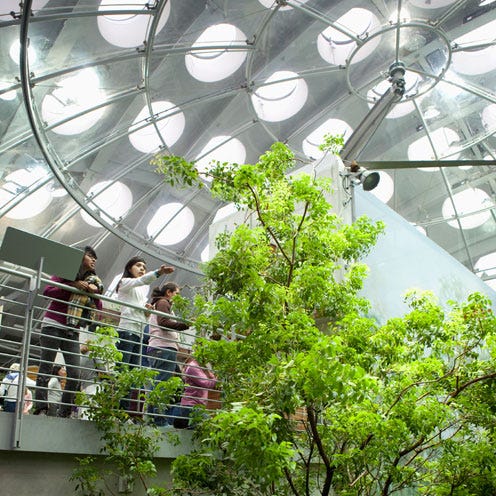 Greenhouse, Glass, Daylighting, Ceiling, Fixture, Roof lantern, Garden, Balcony, Botanical garden, Lobby, 
