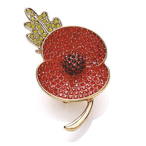 Jewellery, Red, Brooch, Maroon, Body jewelry, Circle, Cut flowers, Artificial flower, Coquelicot, Gemstone, 