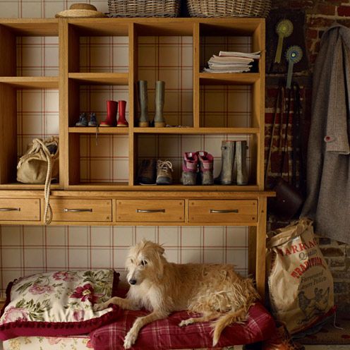 Room, Shelf, Shelving, Furniture, Cabinetry, Bag, Cupboard, Terrestrial animal, Drawer, Linens, 