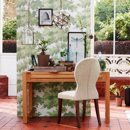 Plant, Furniture, Flowerpot, Table, Basketball hoop, Picture frame, Hardwood, Houseplant, Armrest, Desk, 