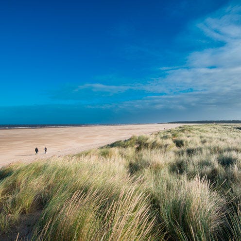 Grass, Natural environment, Sand, Grassland, Horizon, Ecoregion, Plain, Grass family, Prairie, Flowering plant, 