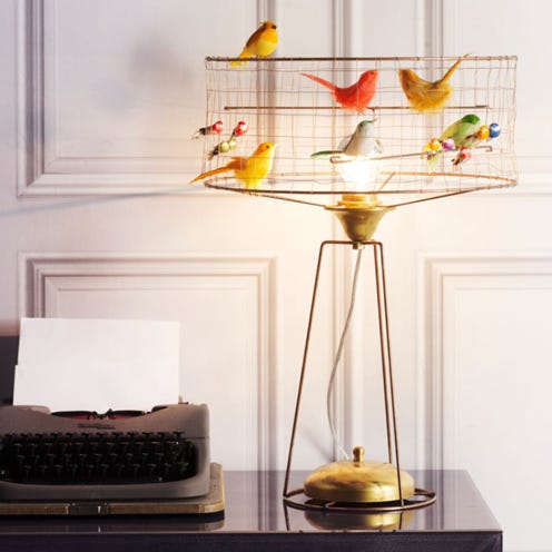 Office equipment, Computer keyboard, Peripheral, Space bar, Input device, Office supplies, Bird, Computer hardware, Still life photography, Natural material, 