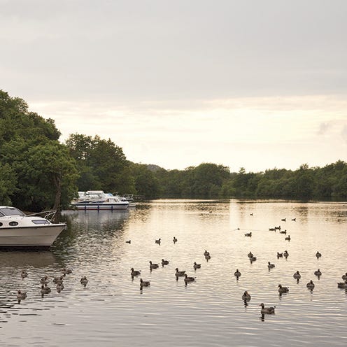 Water, Bird, Watercraft, Ducks, geese and swans, Waterway, Water bird, Bank, Speedboat, Lake, Waterfowl, 
