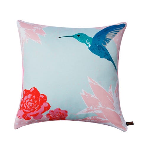 Blue, Bird, Pink, Feather, Teal, Aqua, Wing, Beak, Hummingbird, Azure, 