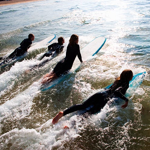 Fun, Surfing Equipment, Surfboard, Recreation, Water, Leisure, Mammal, Surface water sports, People in nature, Wave, 