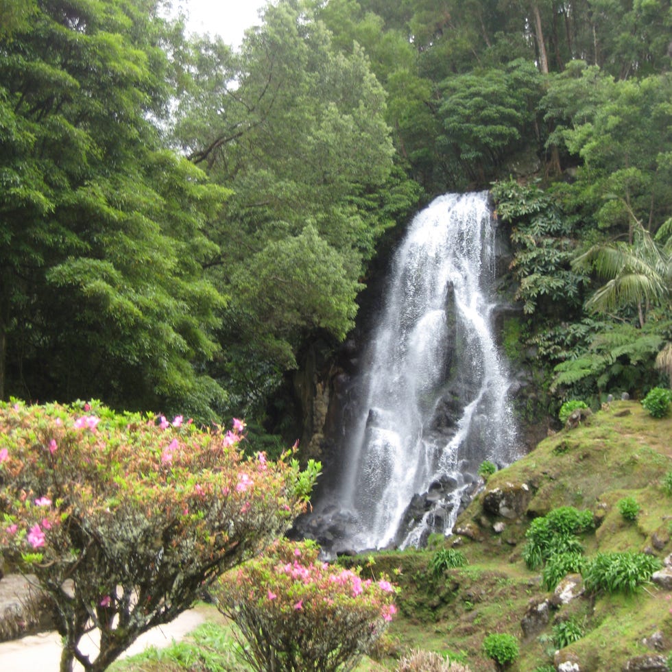 Vegetation, Nature, Plant, Natural landscape, Plant community, Landscape, Tree, Shrub, Stream, Nature reserve, 