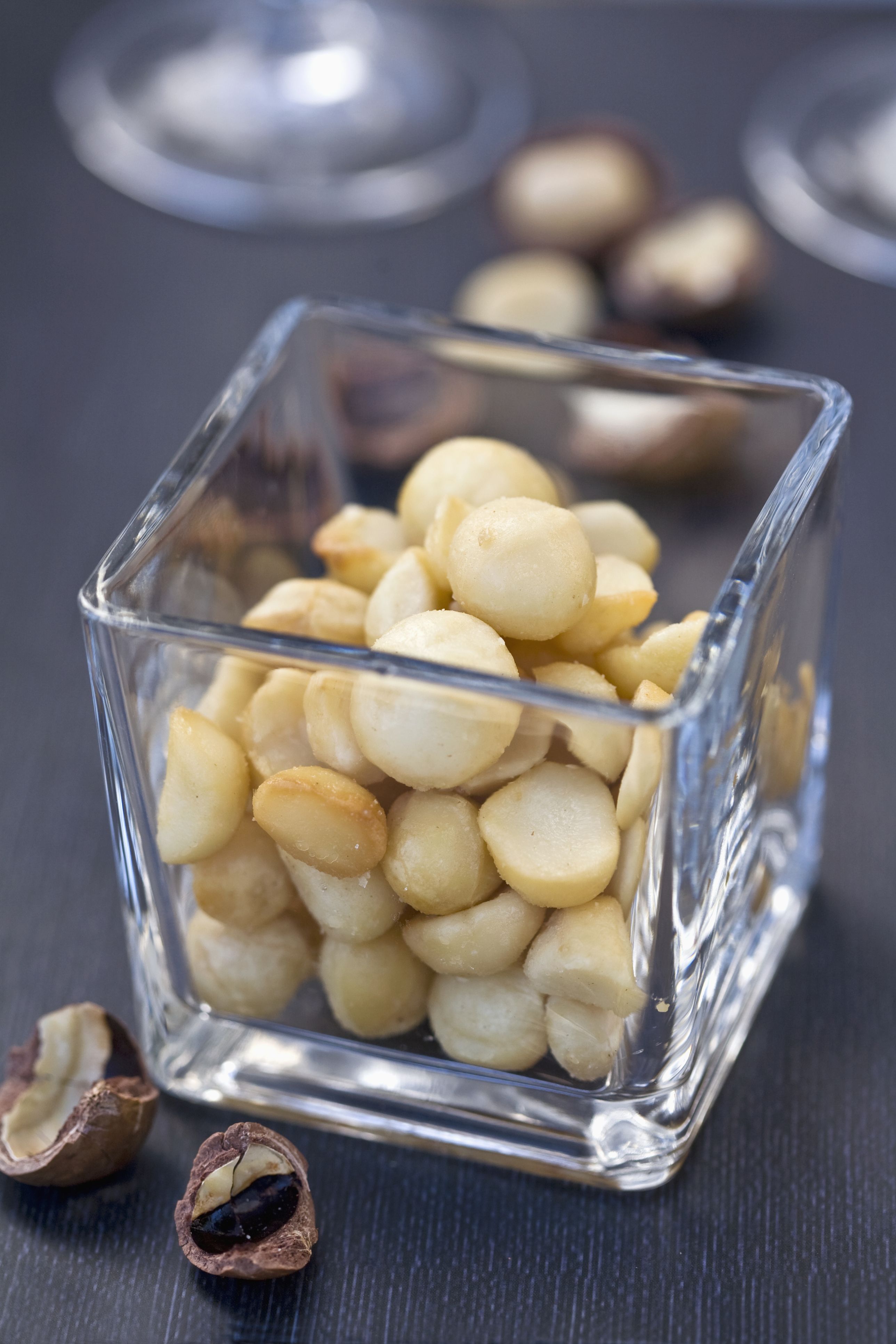 Are macadamia nuts 2025 good for dogs