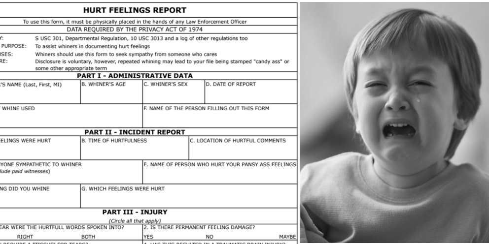 hurt feelings report form