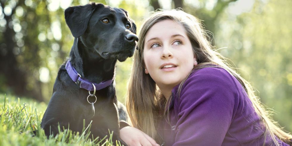 can service dogs detect high blood pressure