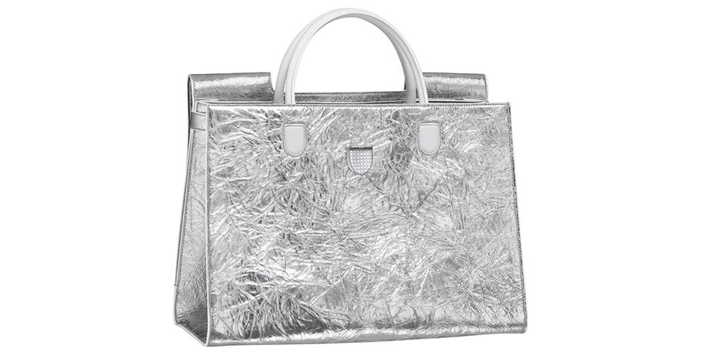 diorever silver
