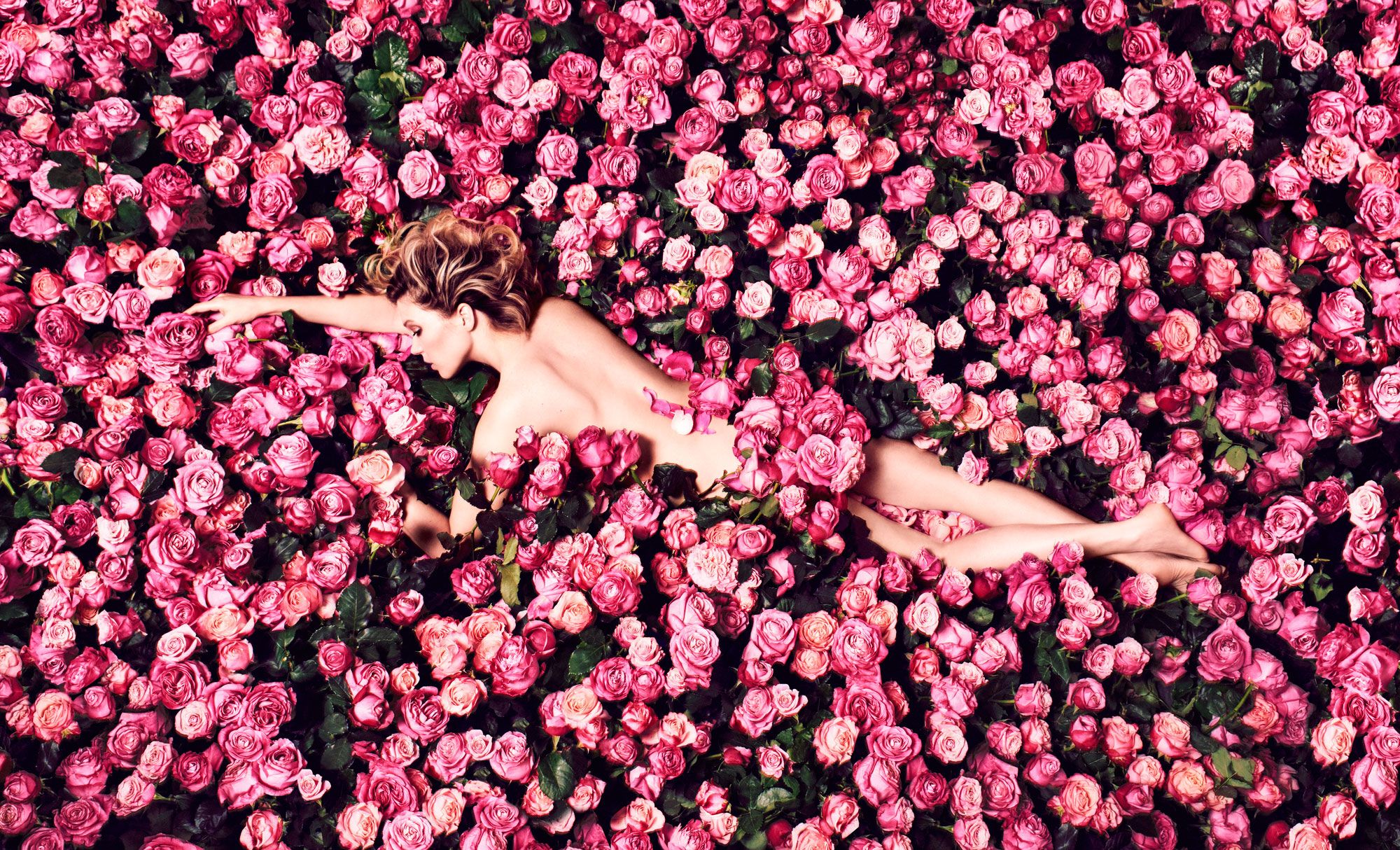 Louis Vuitton on X: World of Fragrances. From the flower fields