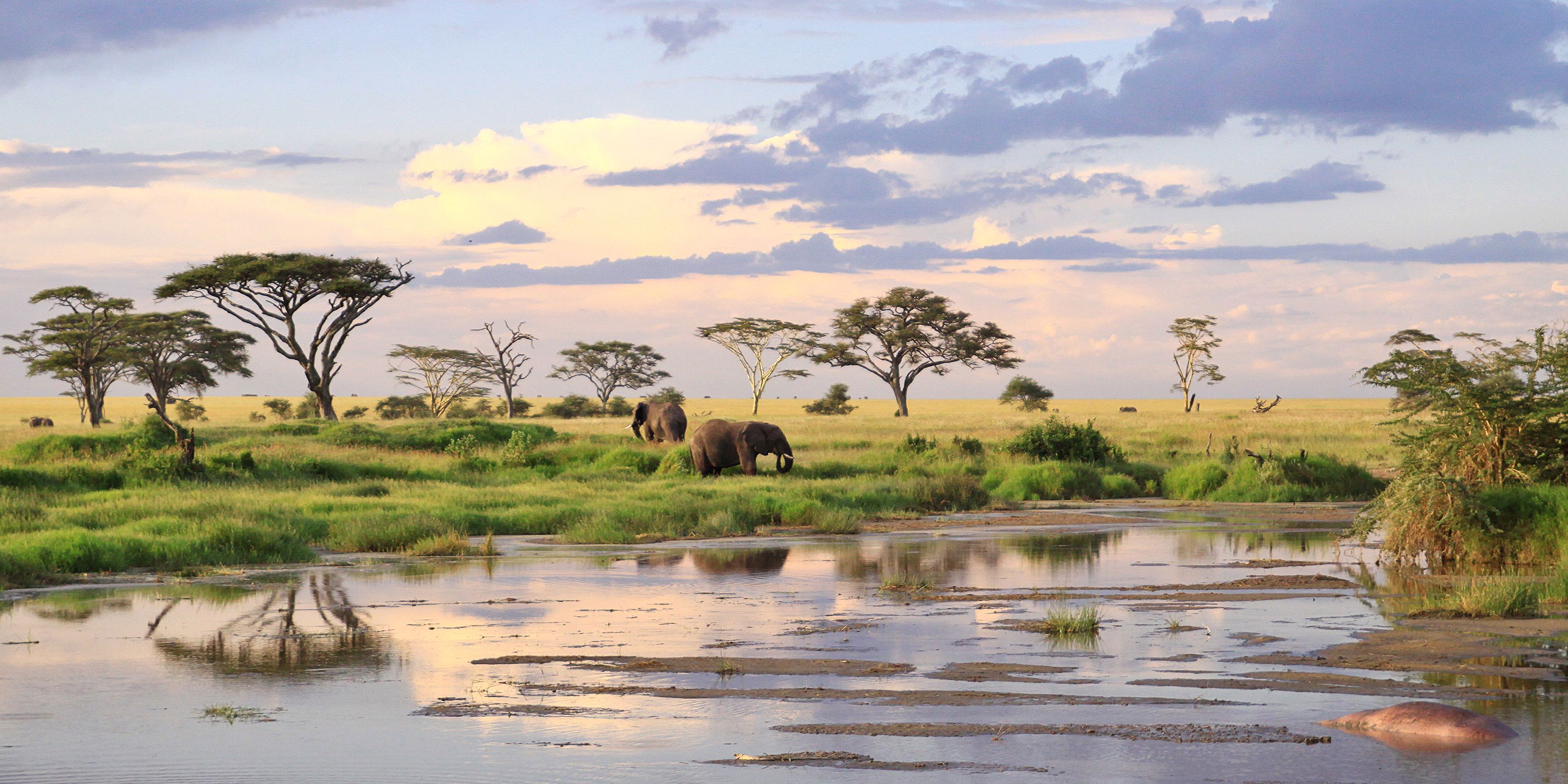 How to Plan a Trip to Serengeti National Park 