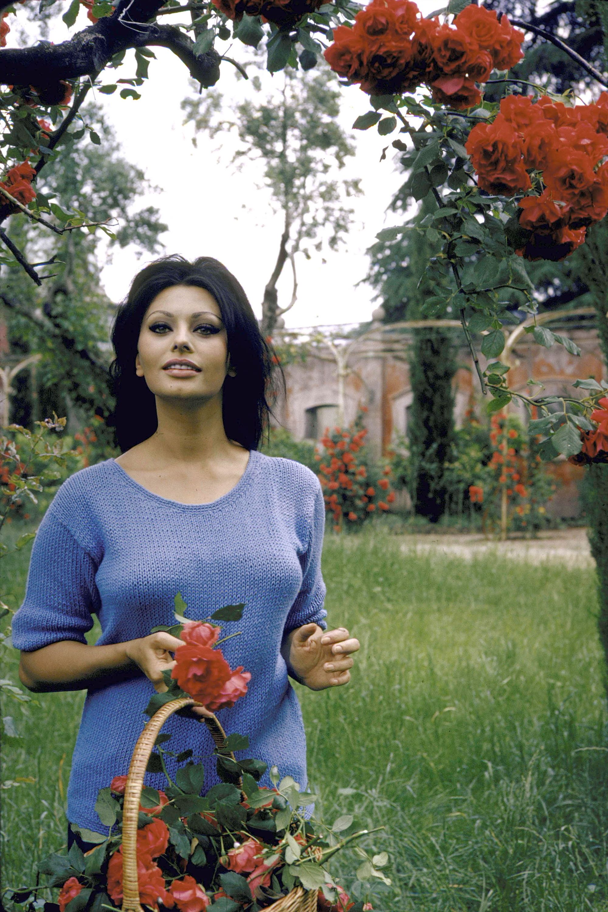 Photos of Sophia Loren - Sophia Loren In Photos