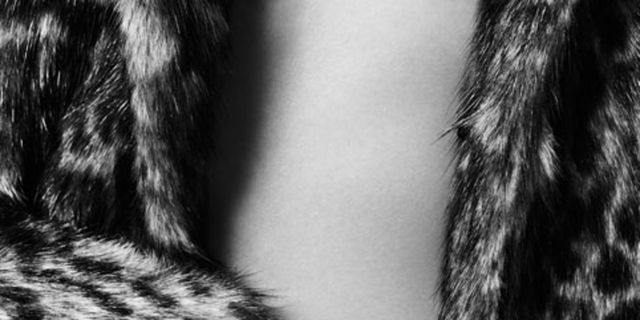 Textile, Style, Jewellery, Monochrome photography, Black-and-white, Monochrome, Fur, Natural material, 