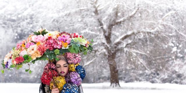 Winter, Petal, Magenta, Bag, Cut flowers, Artificial flower, Flower Arranging, Snow, Floral design, Creative arts, 
