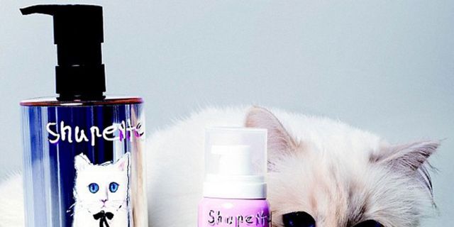 Pink, Liquid, Purple, Violet, Lavender, Magenta, Cat, Cosmetics, Small to medium-sized cats, Whiskers, 