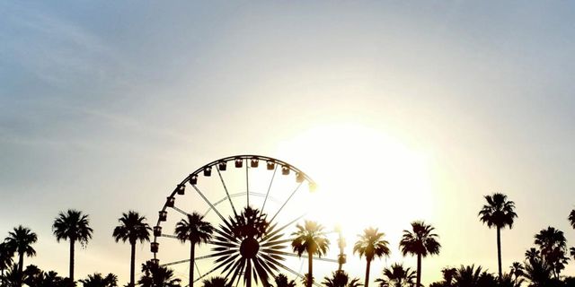 Ferris wheel, Tourism, Recreation, Leisure, Public space, Summer, Sunlight, Woody plant, Arecales, Vacation, 