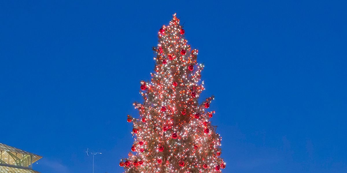 London’s most beautiful Christmas trees