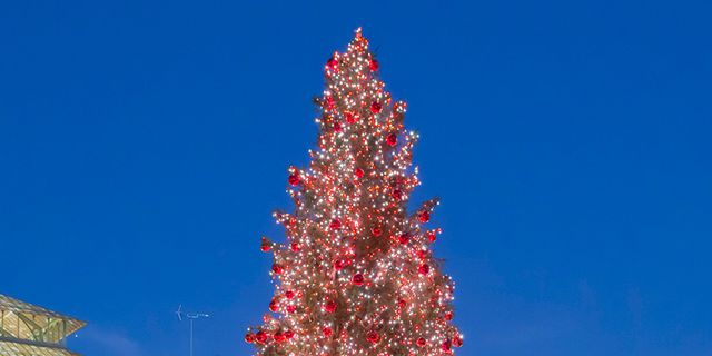 Lighting, Event, Christmas decoration, Winter, Public space, City, Christmas tree, Holiday, Woody plant, Christmas lights, 