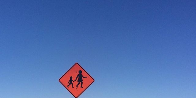 Road, Infrastructure, Natural landscape, Plant community, Landscape, Plain, Traffic sign, Road surface, Horizon, Sign, 