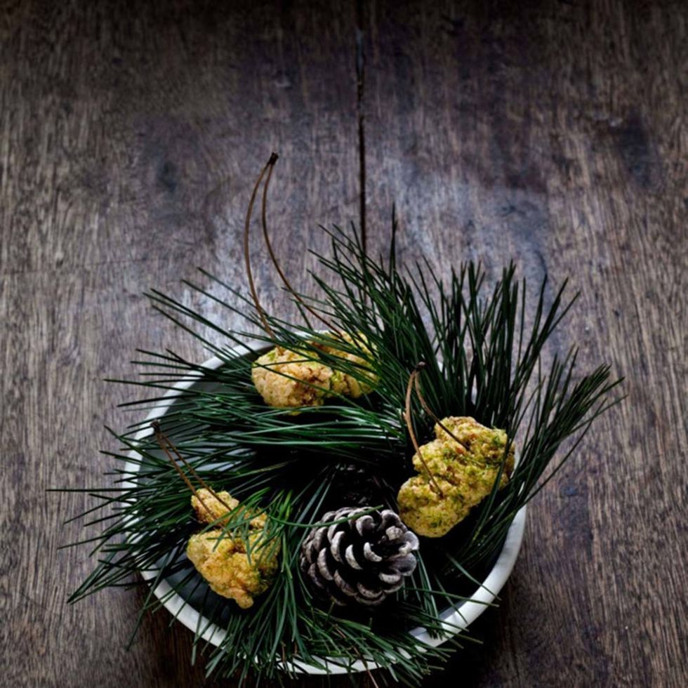 Still life photography, Natural material, Flower Arranging, Conifer, Still life, Pine family, Bouquet, Floral design, Dill, Pine, 