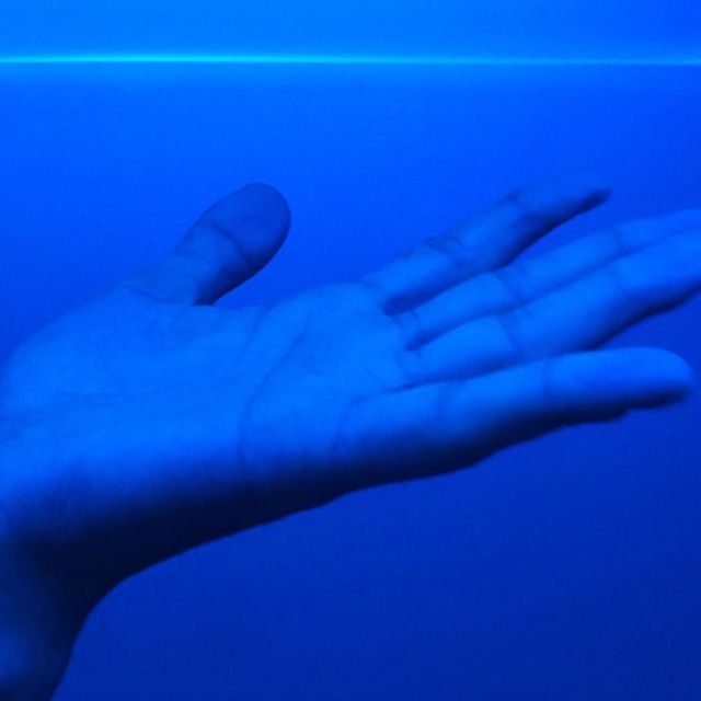 Blue, Finger, Skin, Electric blue, Wrist, Colorfulness, Nail, Majorelle blue, Thumb, Aqua, 