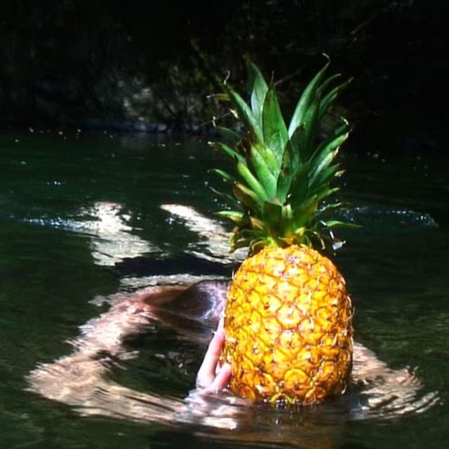 Pineapple, Fruit, Ananas, Produce, Water resources, Vegan nutrition, Natural foods, Liquid, Whole food, Watercourse, 