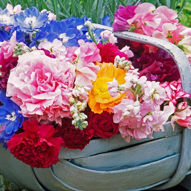 Petal, Flower, Pink, Floristry, Cut flowers, Flower Arranging, Spring, Floral design, Flowering plant, Bouquet, 