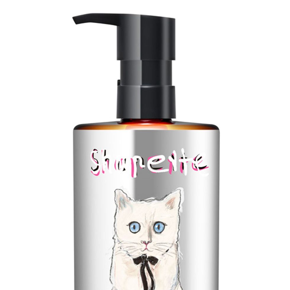 Felidae, Carnivore, Small to medium-sized cats, Cat, Grey, Whiskers, Peach, Bottle, Cylinder, Graphics, 