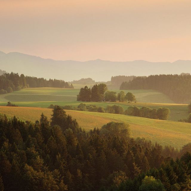 Natural landscape, Landscape, Plain, Atmospheric phenomenon, Hill, Field, Land lot, Highland, Rural area, Ecoregion, 