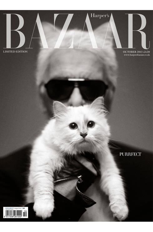 Bazaar's Six October Covers