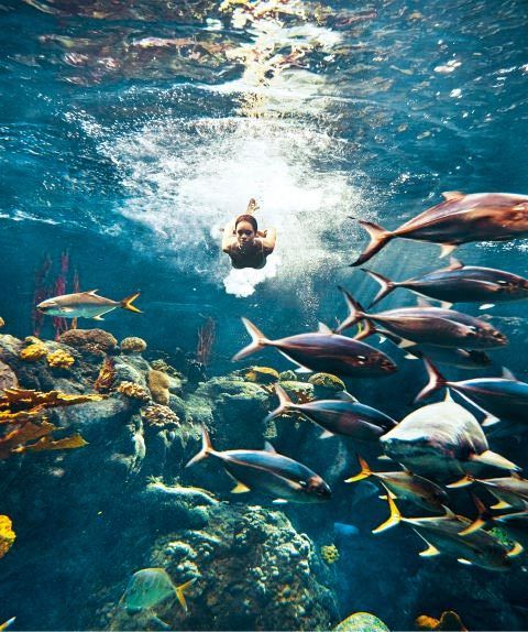 Rihanna Swims With Sharks for US Bazaar
