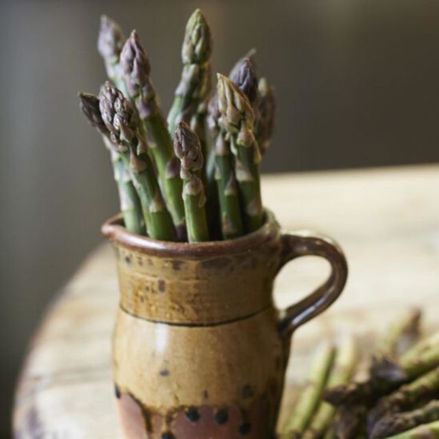 Green, Serveware, Botany, Still life photography, Pottery, Dishware, Asparagus, earthenware, Plant stem, Flowering plant, 