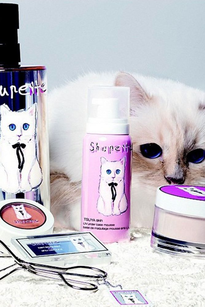 Pink, Liquid, Purple, Violet, Lavender, Magenta, Cat, Cosmetics, Small to medium-sized cats, Whiskers, 