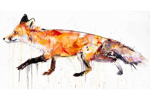 Organism, Carnivore, Vertebrate, Amber, Orange, Organ, Art, Terrestrial animal, Fox, Tail, 