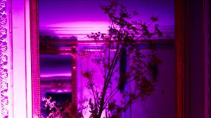 Purple, Magenta, Interior design, Majorelle blue, Violet, Fixture, Lavender, Decoration, Interior design, Flower Arranging, 