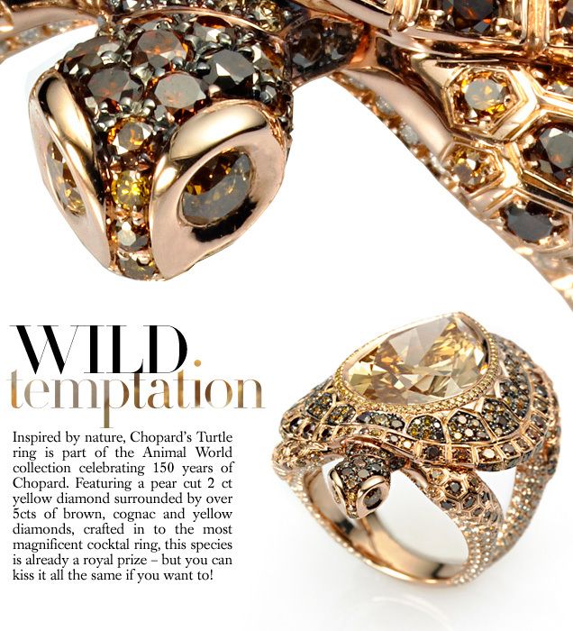 Wild Temptation