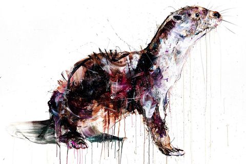 Carnivore, Art, Liver, Terrestrial animal, Snout, Illustration, Canidae, Painting, Dog breed, Art paint, 