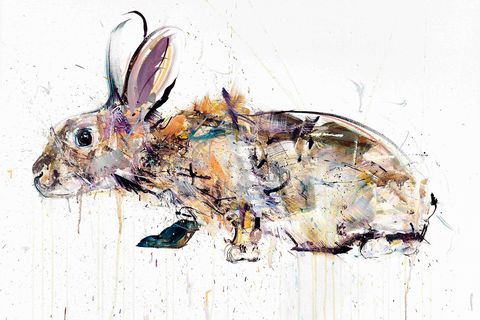 Rabbit, Hare, Rabbits and Hares, brown hare, Art, Terrestrial animal, Fawn, Painting, wood rabbit, Black tailed jackrabbit, 