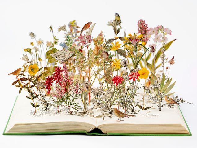 Flower, Petal, Botany, Flowering plant, Art, Publication, Book, Wildflower, Illustration, Floral design, 