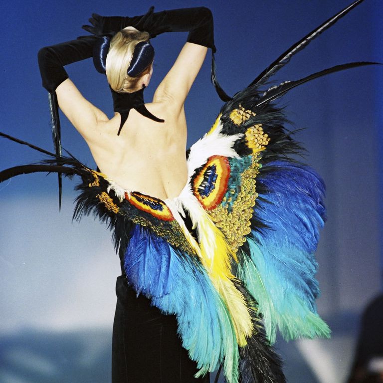 What to book: Birds of Paradise - Plumes and Feathers in Fashion